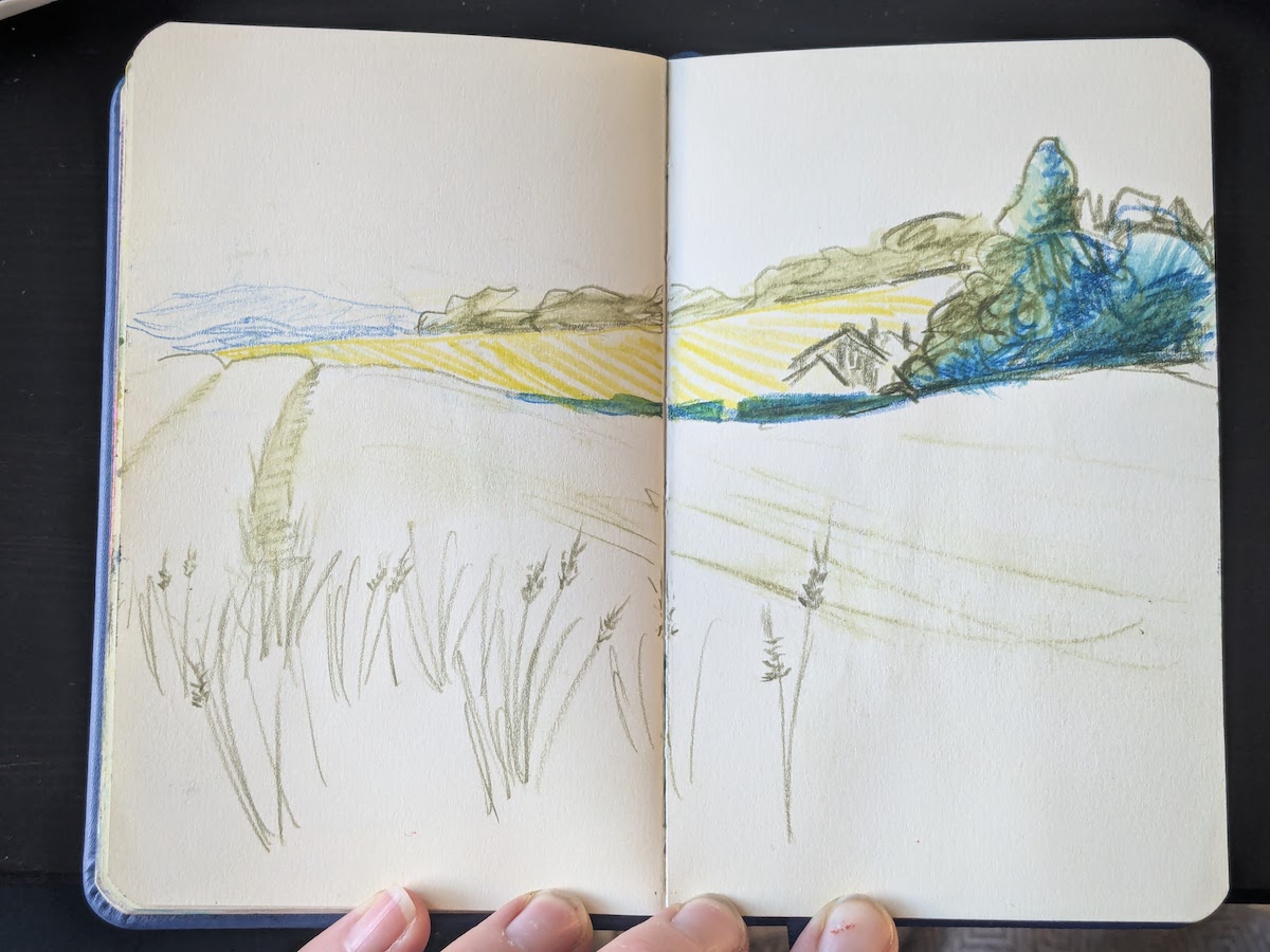 Pencil sketch of rapeseed fields